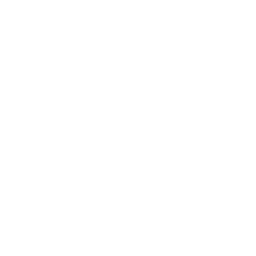 Temples icon